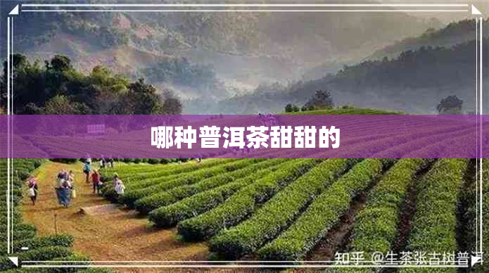 哪种普洱茶甜甜的 哪种普洱茶甜甜的