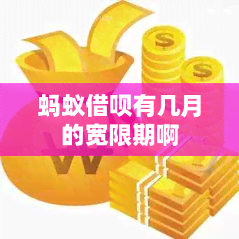 蚂蚁网贷有几月的宽限期啊
