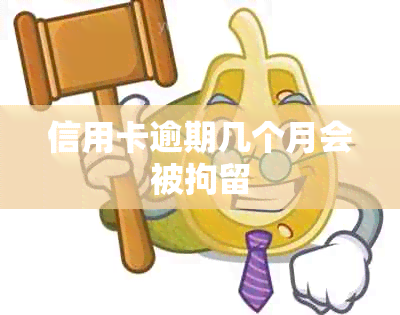 信用卡逾期几个月会被拘留