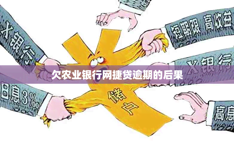 欠农业银行网捷贷逾期的后果
