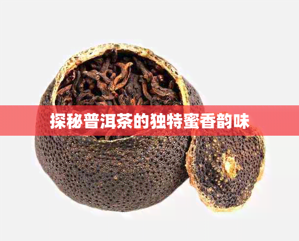 探秘普洱茶的独特蜜香韵味