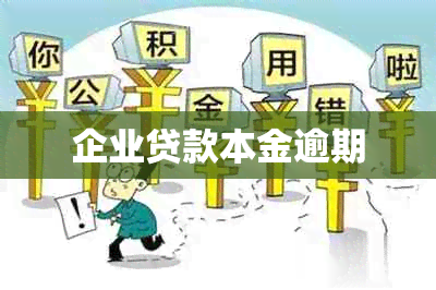企业贷款本金逾期