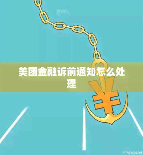 美团金融诉前通知怎么处理
