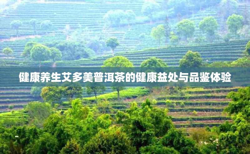 健康养生艾多美普洱茶的健康益处与品鉴体验