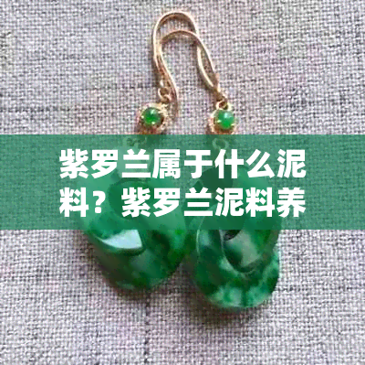紫罗兰属于什么泥料?紫罗兰泥料养什么茶好