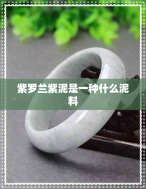 紫罗兰紫泥是一种什么泥料 紫罗兰紫泥是一种什么泥料