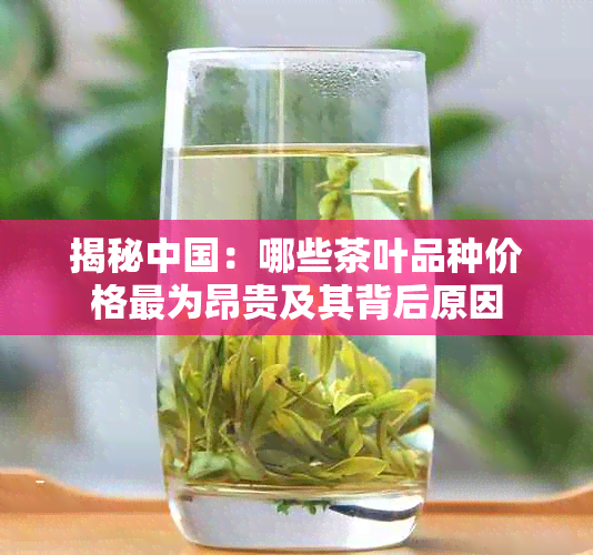 揭秘中国：哪些茶叶品种价格最为昂贵及其背后原因