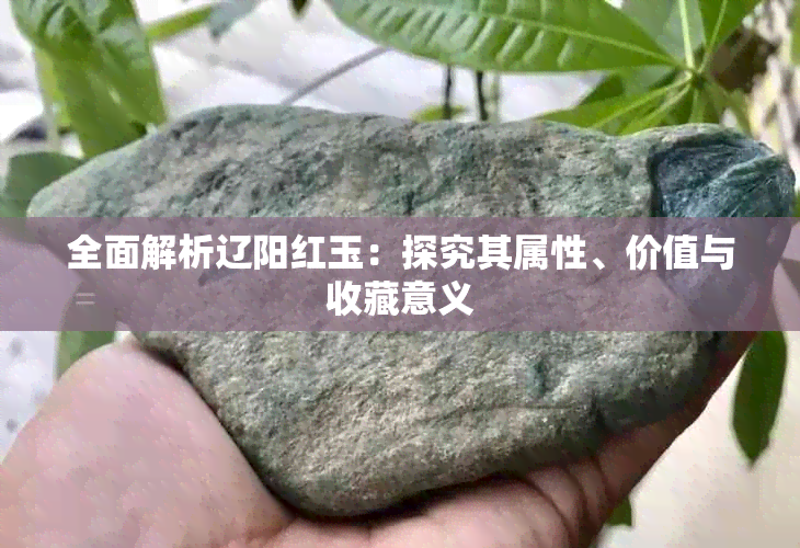 全面解析辽阳红玉:探究其属性、价值与收藏意义