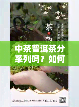 中茶普洱茶分系列吗？如何区分等级及有哪些系列