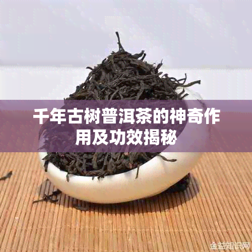 千年古树普洱茶的神奇作用及功效揭秘