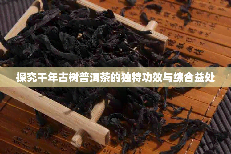 探究千年古树普洱茶的独特功效与综合益处