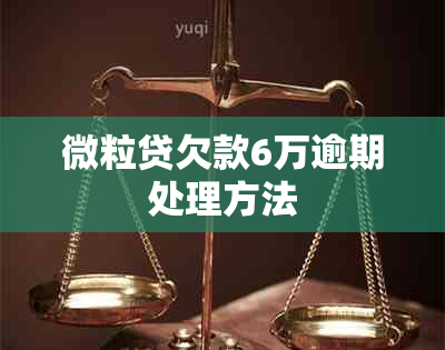 微粒贷欠款6万逾期处理方法