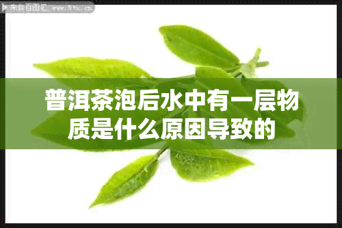 普洱茶泡后水中有一层物质是什么原因导致的
