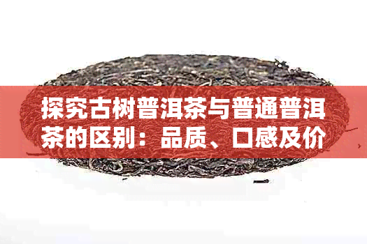 探究古树普洱茶与普通普洱茶的区别:品质、口感及价值全解析