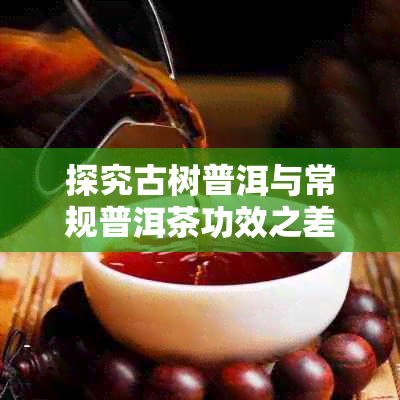探究古树普洱与常规普洱茶功效之差异对比分析