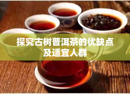 探究古树普洱茶的优缺点及适宜人群