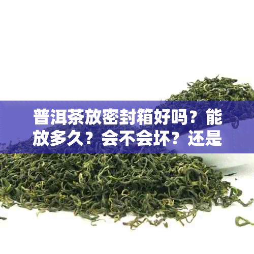 普洱茶放密封箱好吗?能放多久?会不会坏?还是该冷藏?放在密封袋好吗?