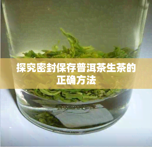 探究密封保存普洱茶生茶的正确方法