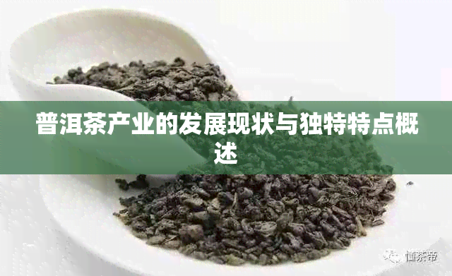 普洱茶产业的发展现状与独特特点概述