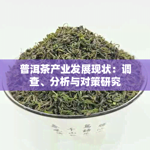 普洱茶产业发展现状:调查、分析与对策研究
