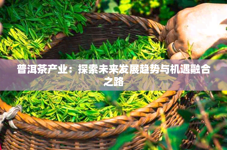 普洱茶产业:探索未来发展趋势与机遇融合之路
