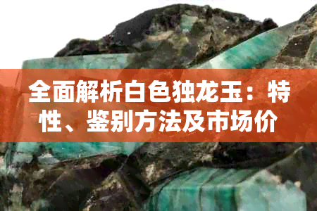 全面解析白色独龙玉:特性、鉴别方法及市场价值