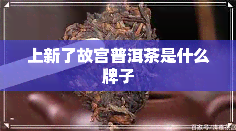 上新了故宫普洱茶是什么牌子 上新了故宫普洱茶是什么牌子