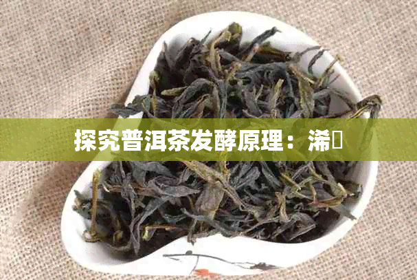 探究普洱茶发酵原理:浠庤