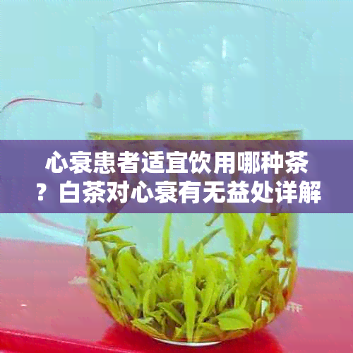 心衰患者适宜饮用哪种茶？白茶对心衰有无益处详解