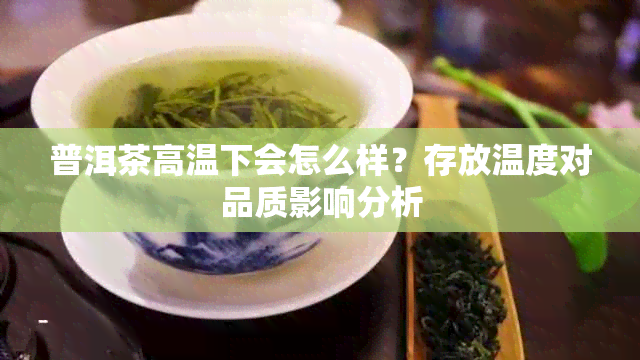 普洱茶高温下会怎么样？存放温度对品质影响分析