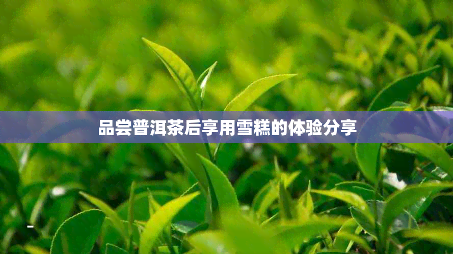 品尝普洱茶后享用雪糕的体验分享