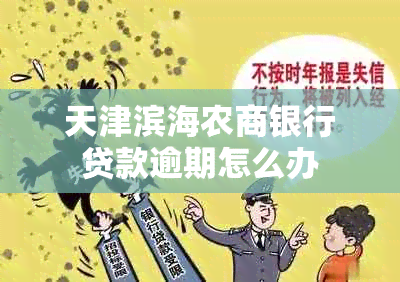 天津滨海农商银行贷款逾期怎么办