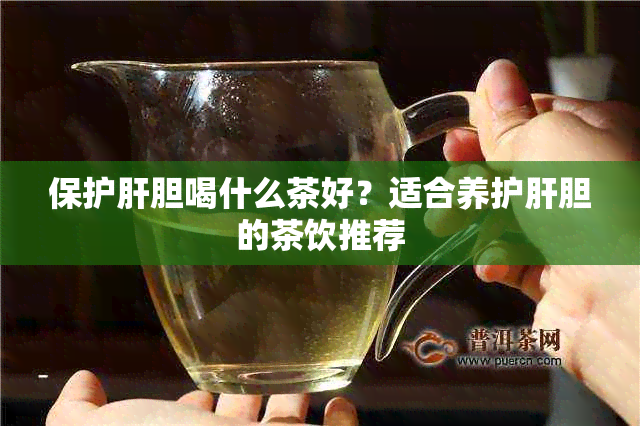 保护肝胆喝什么茶好？适合养护肝胆的茶饮推荐