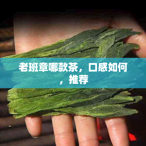老班章哪款茶,口感如何,推荐
