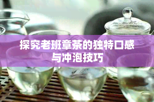 探究老班章茶的独特口感与冲泡技巧