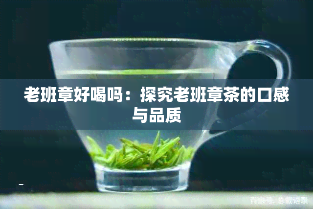 老班章好喝吗:探究老班章茶的口感与品质