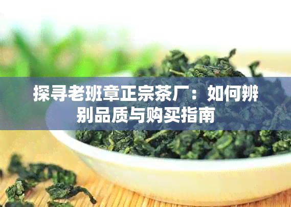 探寻老班章正宗茶厂:如何辨别品质与购买指南