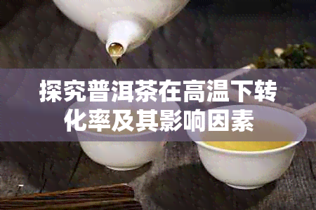 探究普洱茶在高温下转化率及其影响因素