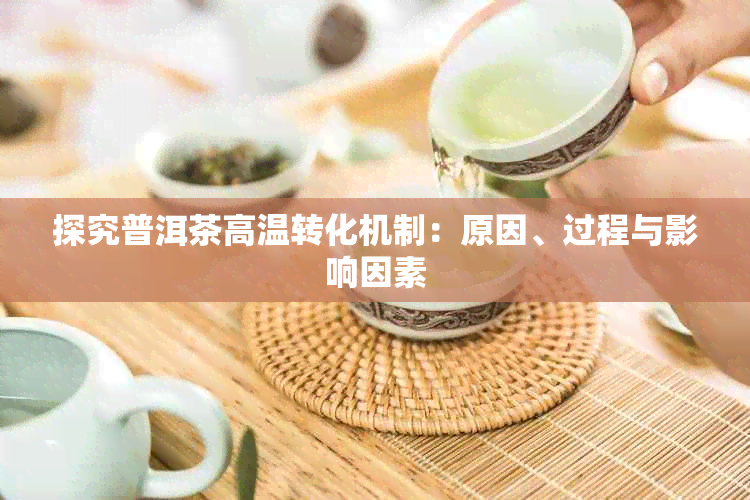 探究普洱茶高温转化机制：原因、过程与影响因素