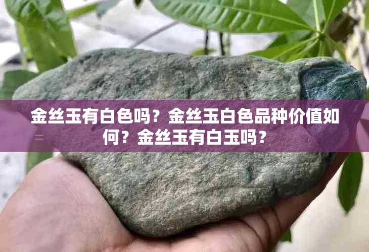 金丝玉有白色吗?金丝玉白色品种价值如何?金丝玉有白玉吗?