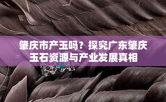 肇庆市产玉吗?探究广东肇庆玉石资源与产业发展真相