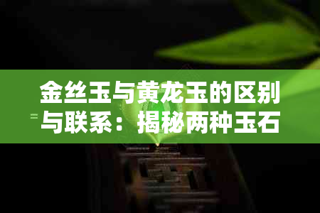 金丝玉与黄龙玉的区别与联系:揭秘两种玉石的真实关系