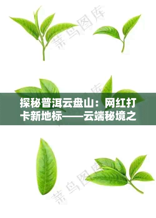 探秘普洱云盘山:网红打卡新地标——云端秘境之旅