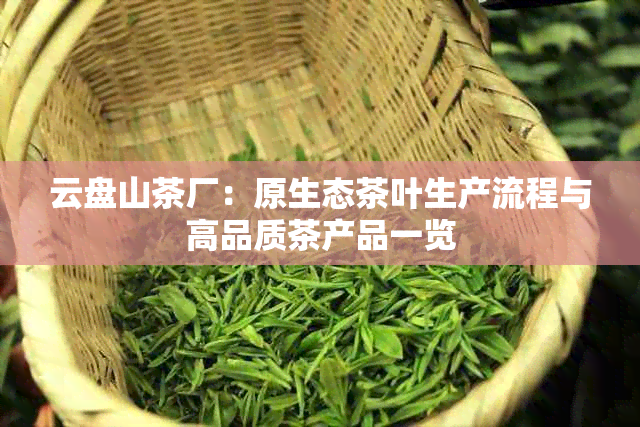 云盘山茶厂:原生态茶叶生产流程与高品质茶产品一览