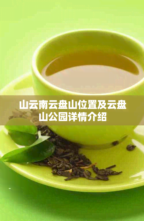 山云南云盘山位置及云盘山公园详情介绍