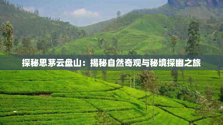 探秘思茅云盘山:揭秘自然奇观与秘境探幽之旅
