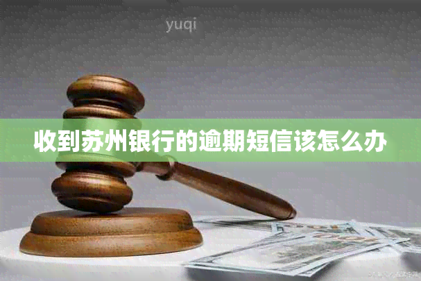 收到苏州银行的逾期短信该怎么办