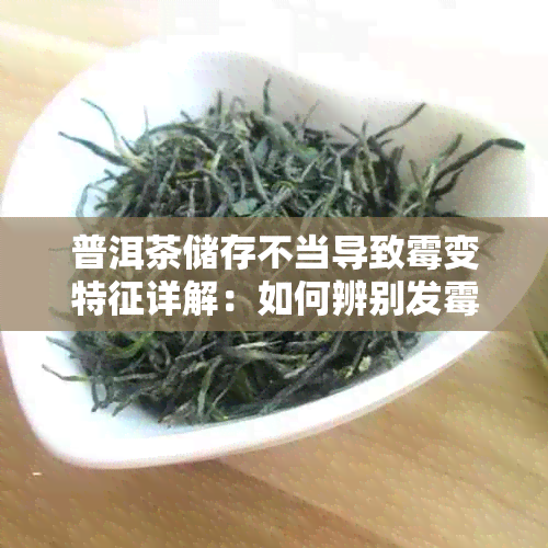 普洱茶储存不当导致霉变特征详解：如何辨别发霉普洱茶的外观与味道