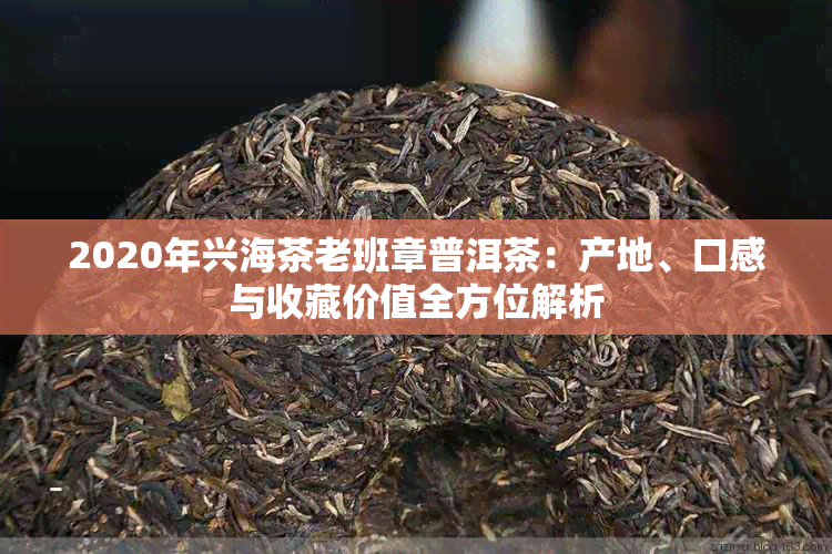 2020年兴海茶老班章普洱茶：产地、口感与收藏价值全方位解析