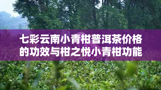 七彩云南小青柑普洱茶价格的功效与柑之悦小青柑功能简介
